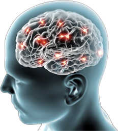 Refined AI — illustrated neural intelligence
